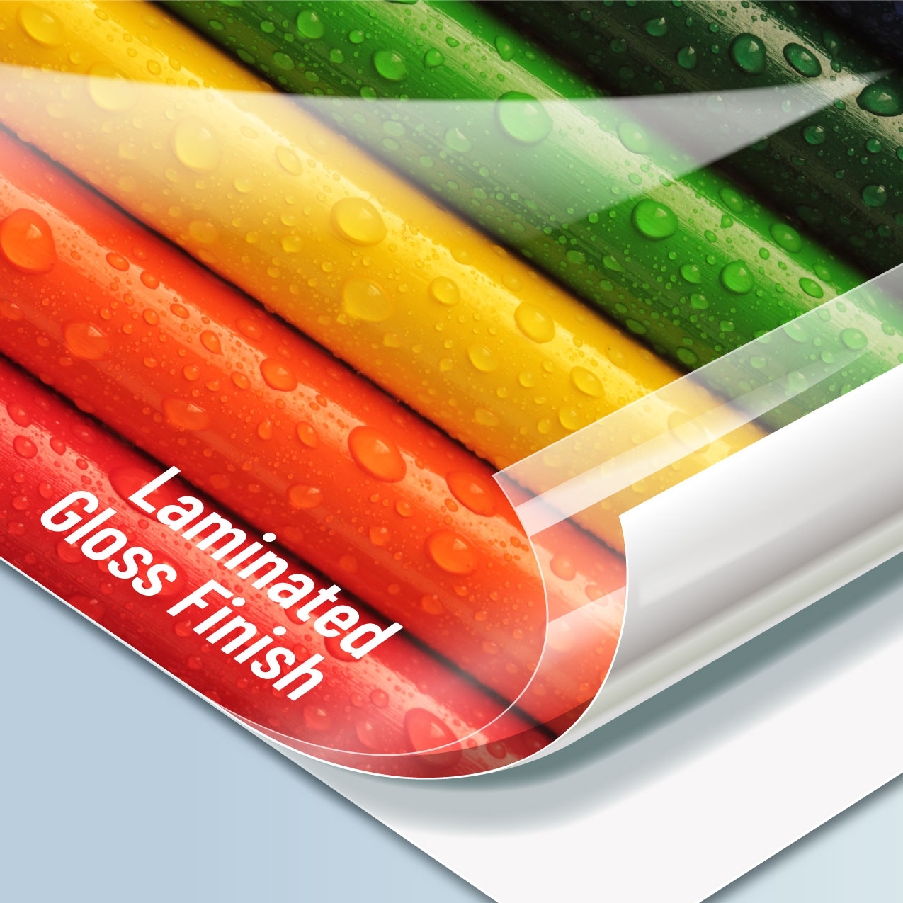 Color Management